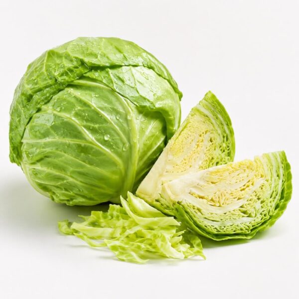 Cabbage